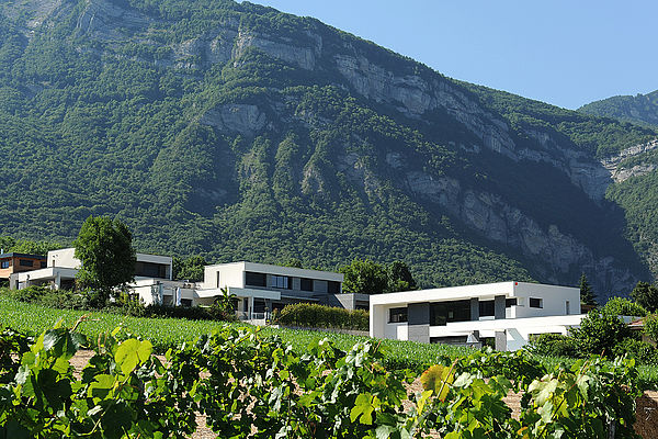 3 Maisons Individuelles à Bernin, le hameau des Treilles